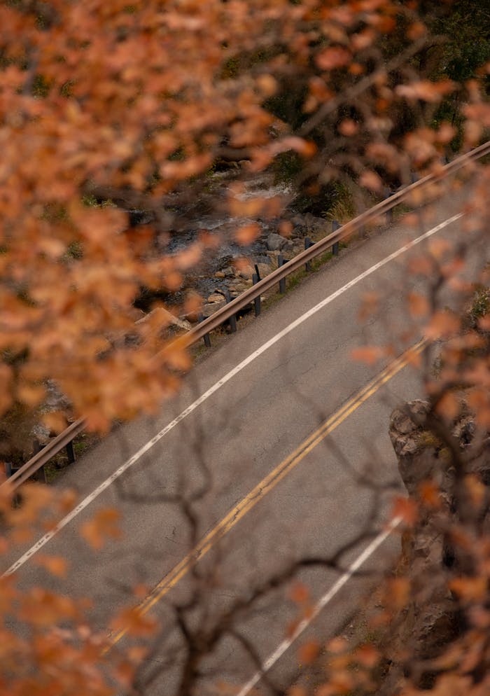 why-choose-us A scenic aerial view of a winding road with vibrant fall foliage in Brighton, Utah.
